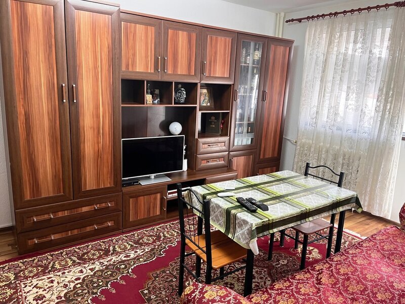 Theodor Pallady- 5 minute metrou