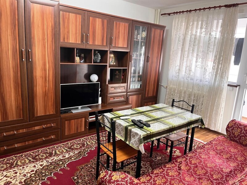 Theodor Pallady- 5 minute metrou