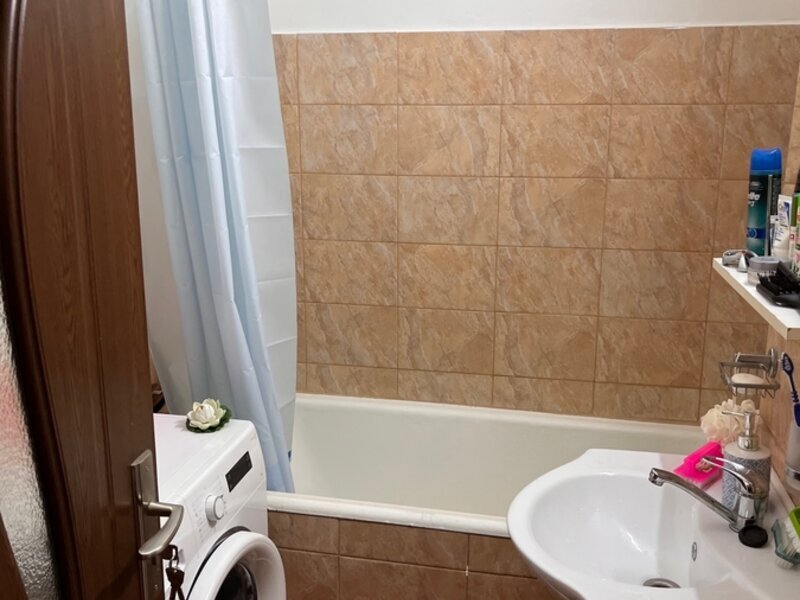 Theodor Pallady- 5 minute metrou