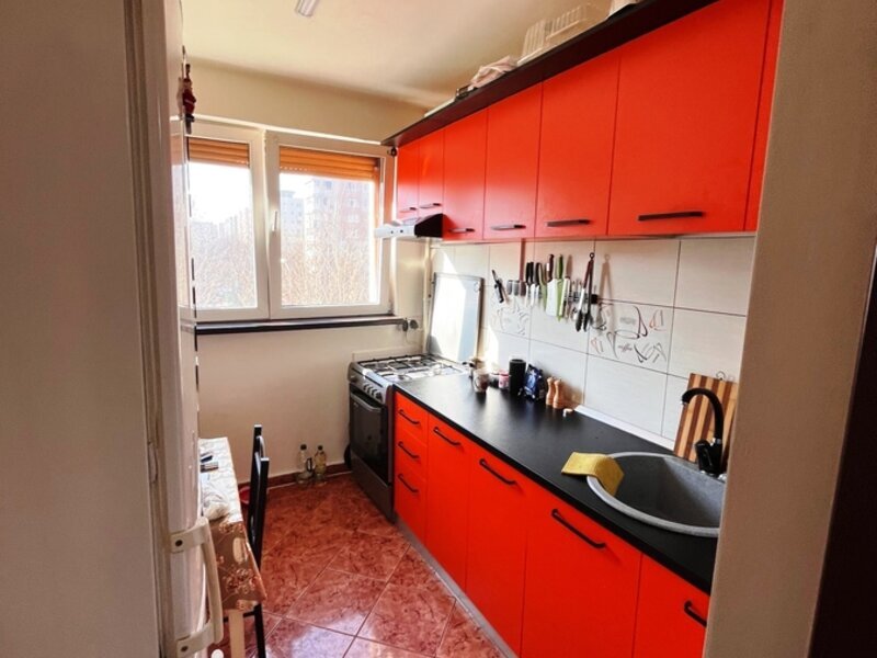 Theodor Pallady- 5 minute metrou